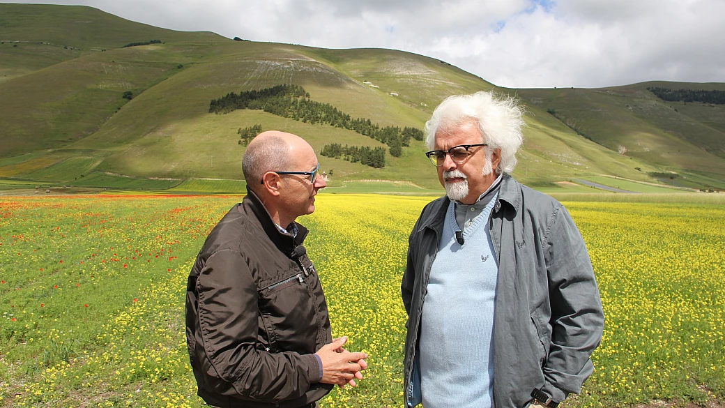 tg del turismo: notizie da yorkshire, monza, castelluccio di norcia e pegognaga