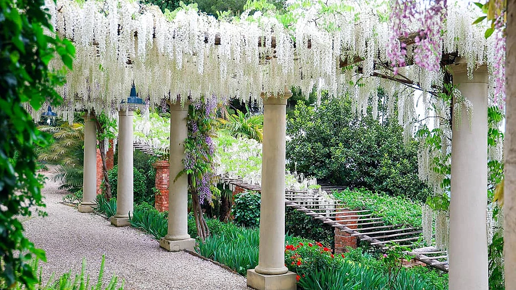 ha riaperto da pochi giorni ed è un vero angolo di meraviglia: la villa della liguria con il parco più bello d'italia