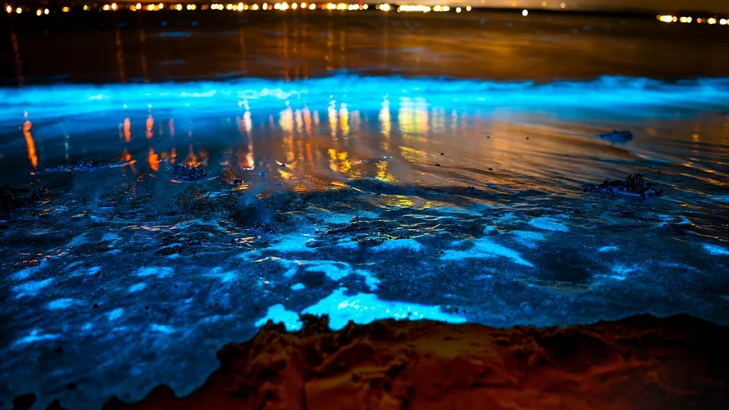 in australia c'è un'incredibile spiaggia che si illumina senza bisogno di energia elettrica