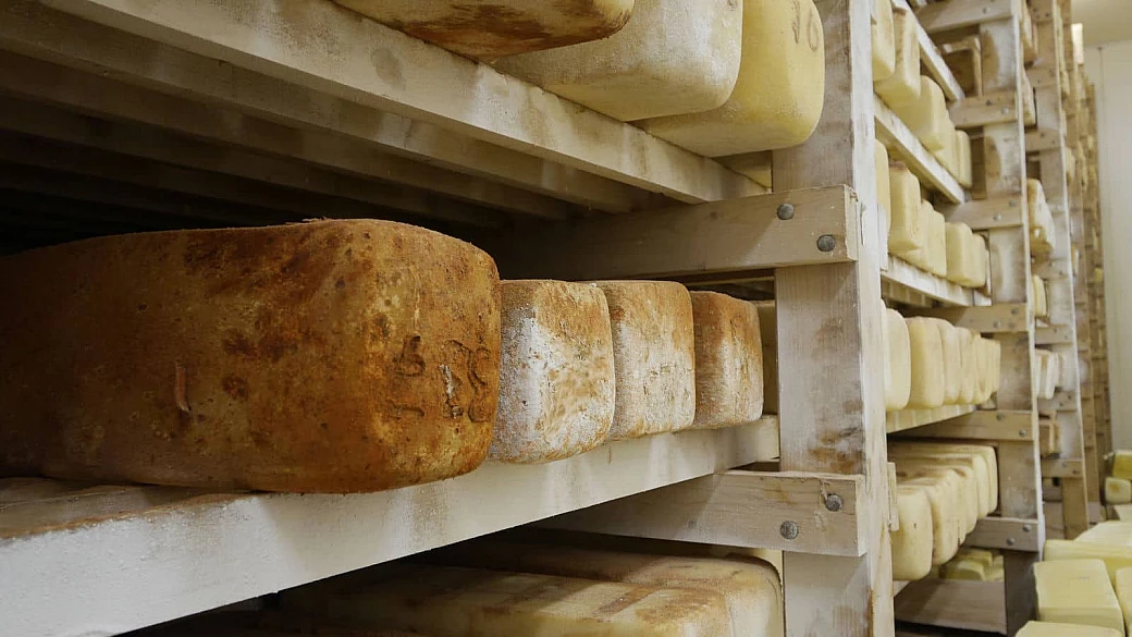 ragusano dop, il più meridionale dei formaggi italiani