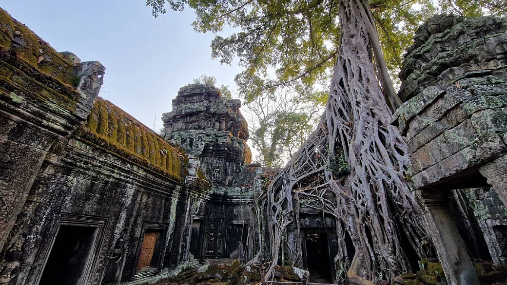sembra un set di indiana jones ma è in asia: il mio viaggio di 10 giorni tra templi mangiati dalla giungla