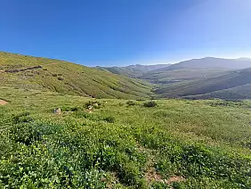 20260212_163422