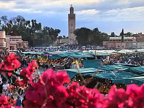 2026_4_marocco_85_
