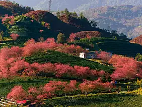 5005c3b3_d8de_4ac7_8825_2991c36101a5