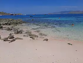 593_komodo_natural_park_rid_