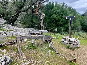 tiscali