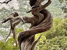 tiscali_4