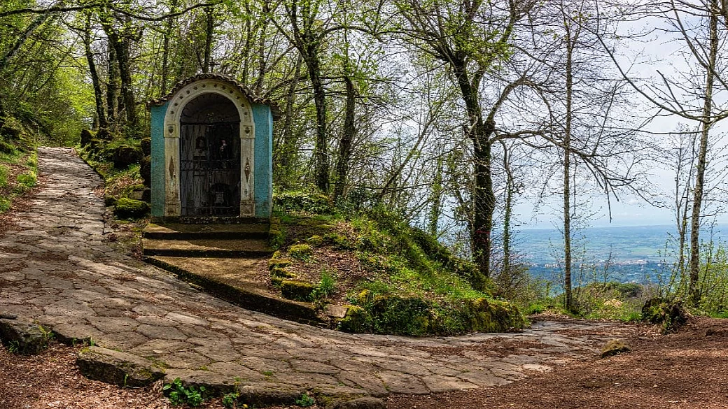 a due passi da roma l'esperienza tra natura e arte che lascia senza fiato