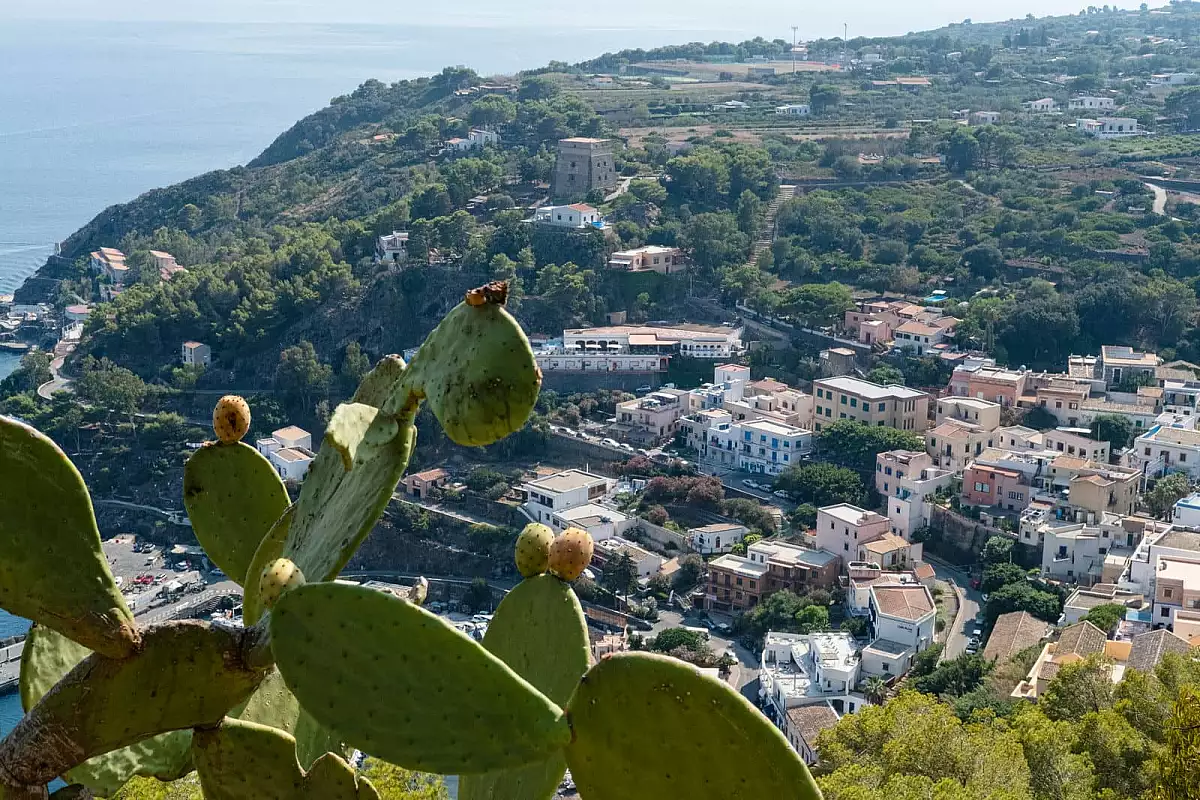 ustica