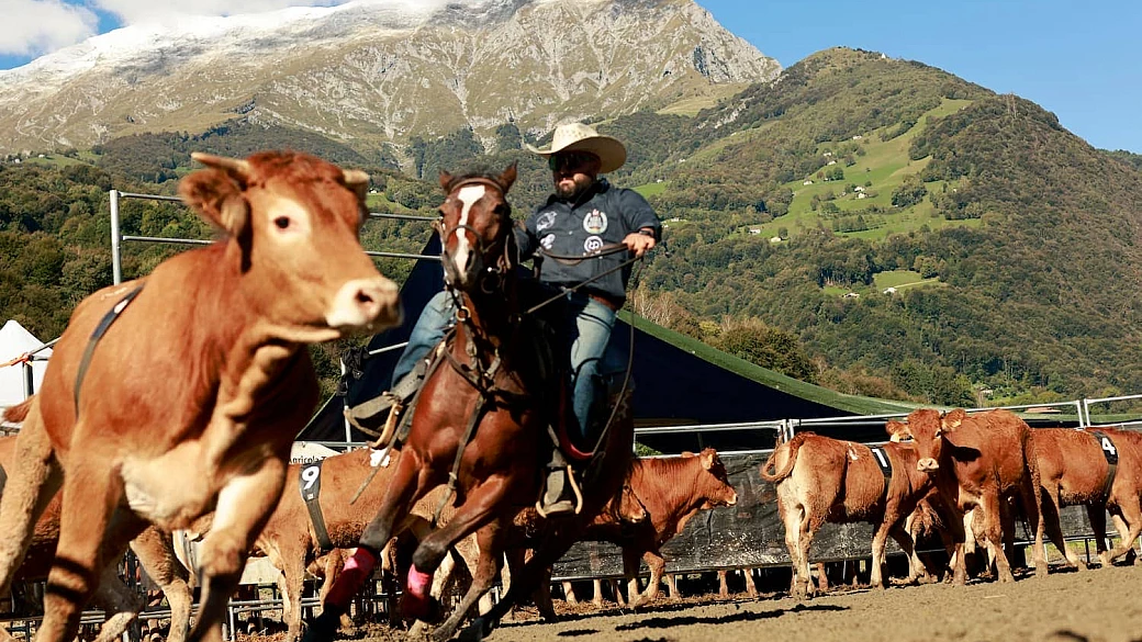 100mila metri quadri di vecchio west: lo sapevi che il cuore country d'europa si trova in lombardia?