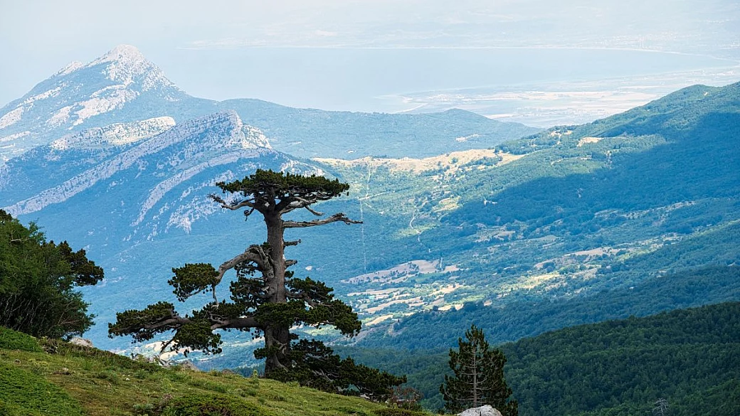 200mila ettari di foreste e torrenti: in calabria c'è il parco da record grande come due volte roma