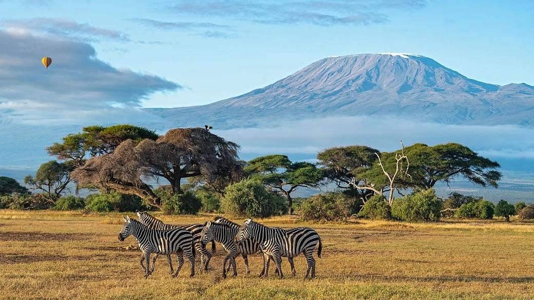 il safari ma non quando te lo aspetti: ecco quale mese abbiamo scelto per visitare il kenya