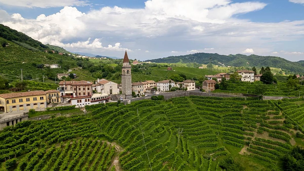 calici di prosecco e colline d'autore: qui il tempo della vendemmia è tutto uno spettacolo