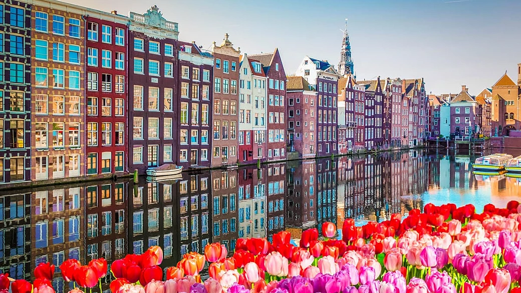 amsterdam e dintorni in 6 giorni: l'itinerario tra arte, mulini a vento e consigli pratici