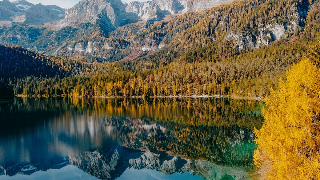 foliage in italia: 5 posti dove ottobre accende boschi, laghi e colline