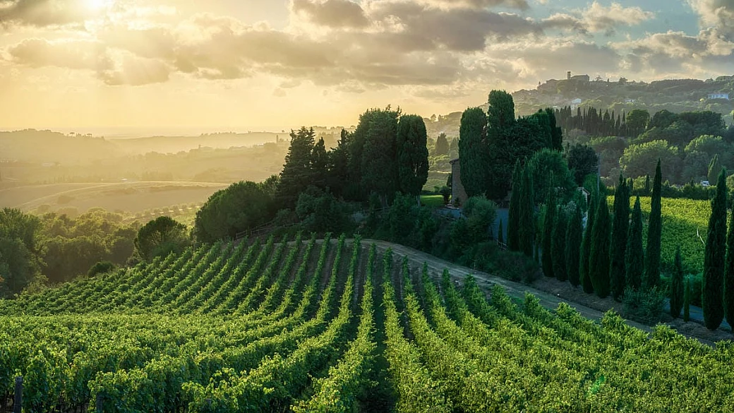 foglie rosse, vino novello e castelli millenari: i 4 itinerari perfetti per scoprire la toscana in autunno