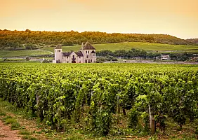 turistipercaso Chateau,With,Vineyards,,Burgundy,,France