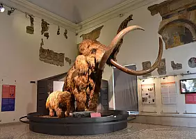 turistipercaso