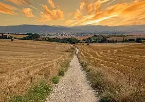 turistipercaso The,Camino,De,Santiago,During,Sunrise,In,Navarra,,Spain
