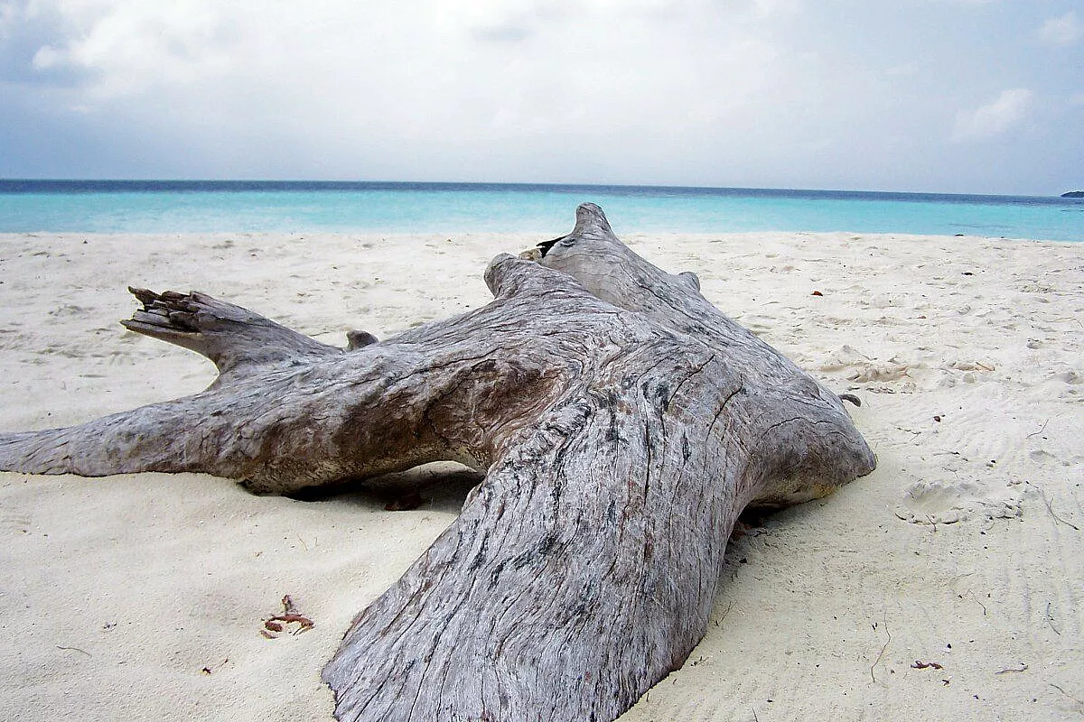 Maayafushi