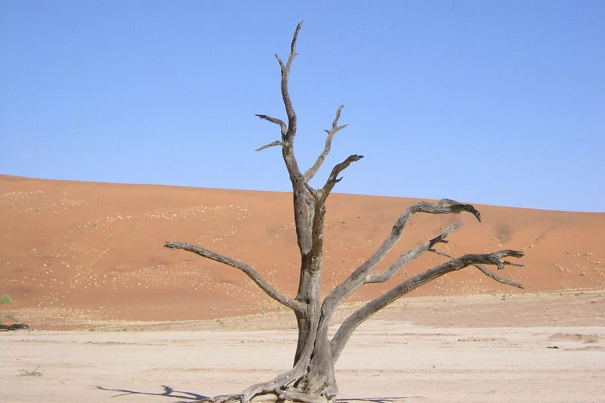 Namibia 3