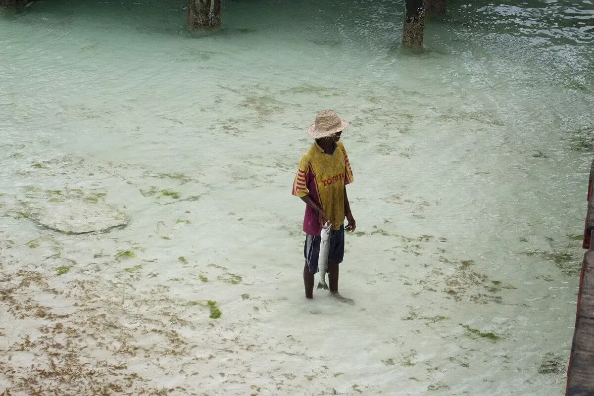 Zanzibar STUPENDA… Ma la struttura..