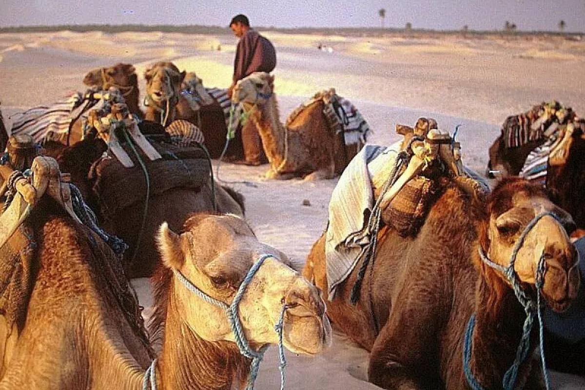 Tunisia: un meraviglioso angolo d’Africa