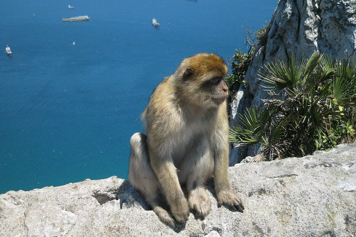 Ibiza giugno 2007