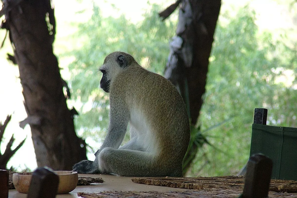 Kenya, watamu 4