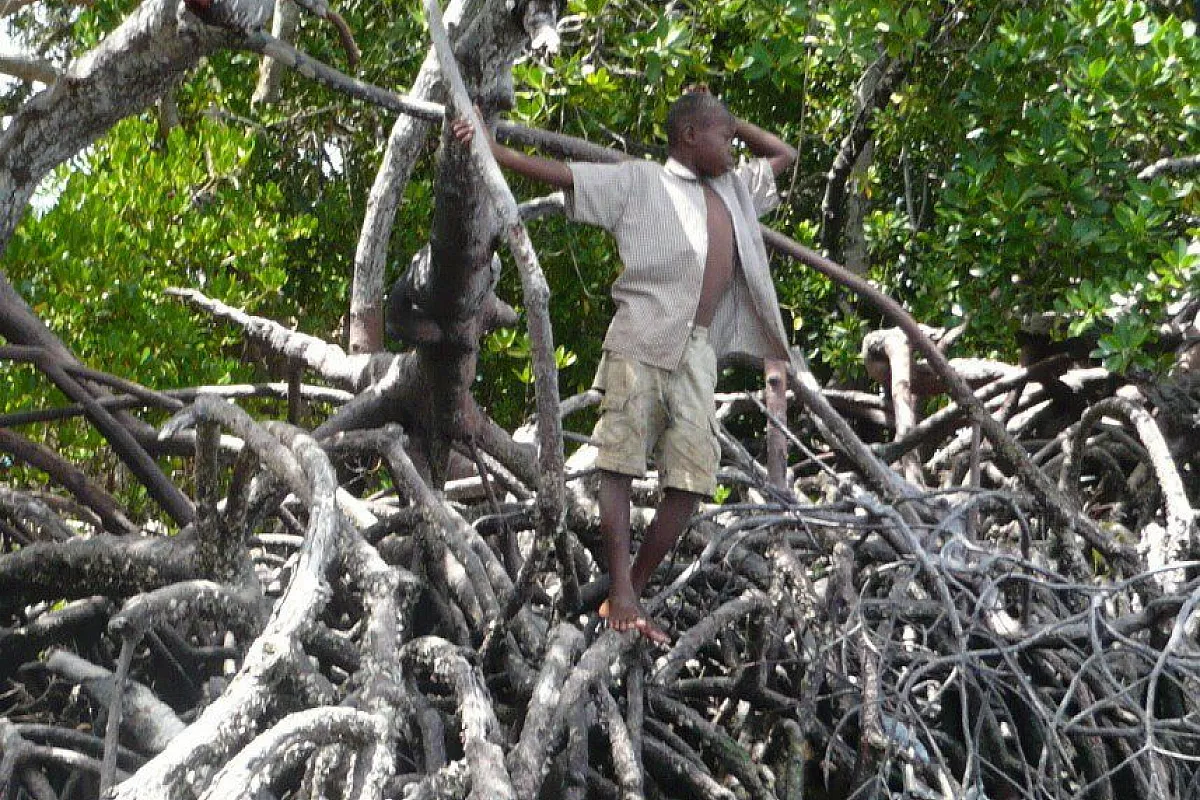 Jambo kenya 2
