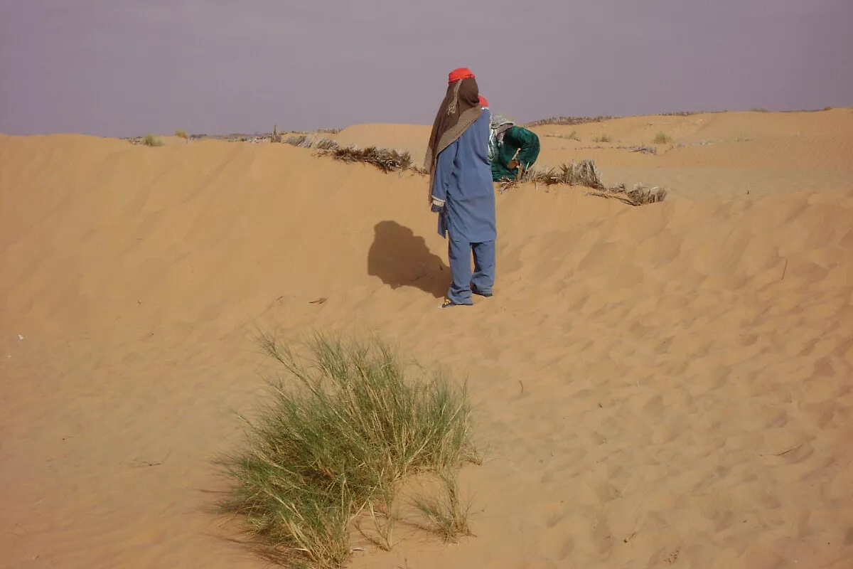 Tunisia, che peccato