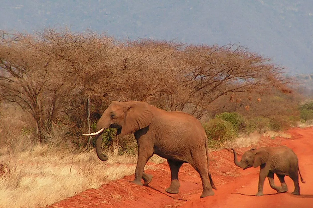 Fantastico Kenya