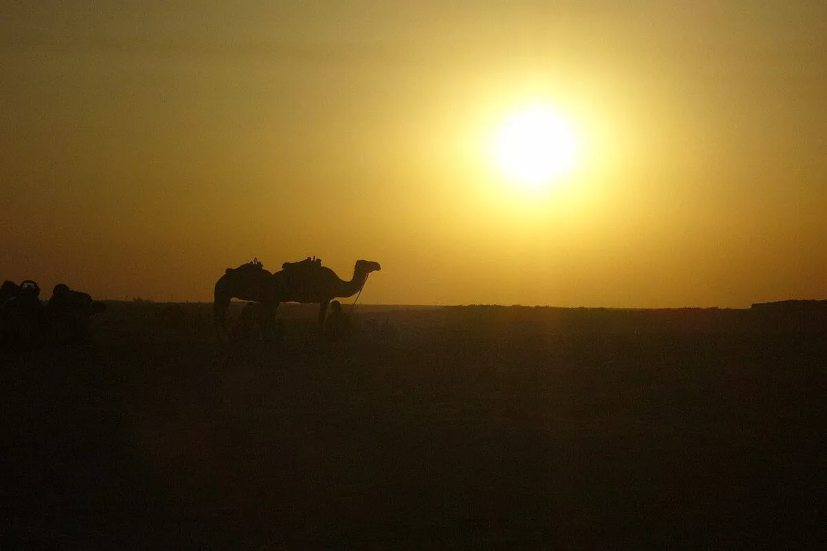 Tunisia. Hammamet + Minitour