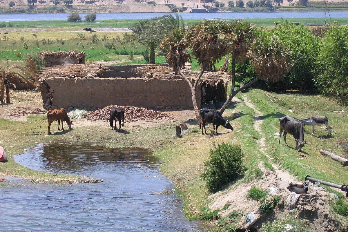 Sharm-Amphoras