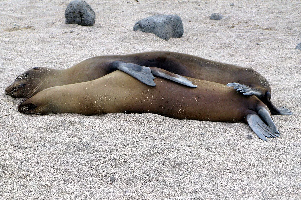 Ecuador e Galapagos: si può fare