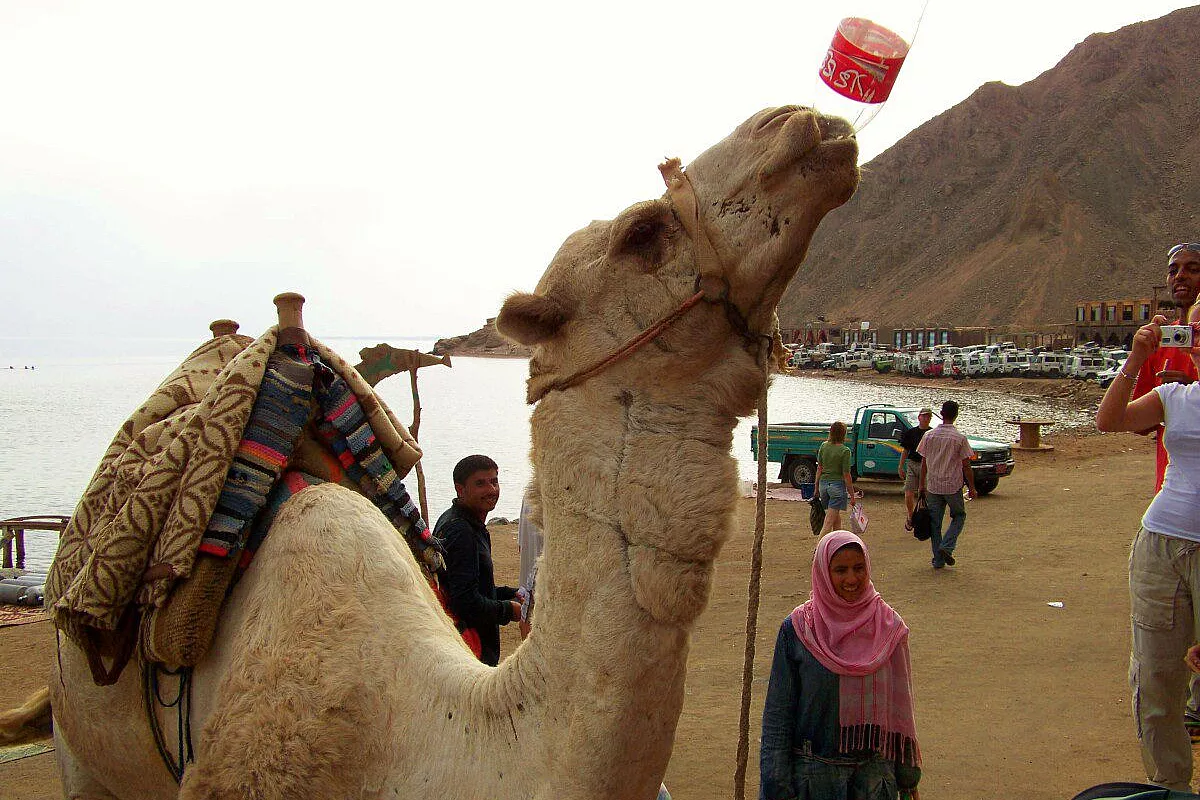 HURGHADA – L’altro Mar Rosso