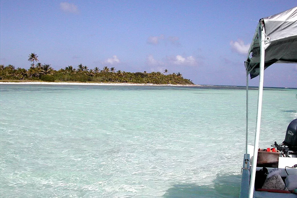 Baja California tra balene spiaggie e deserto