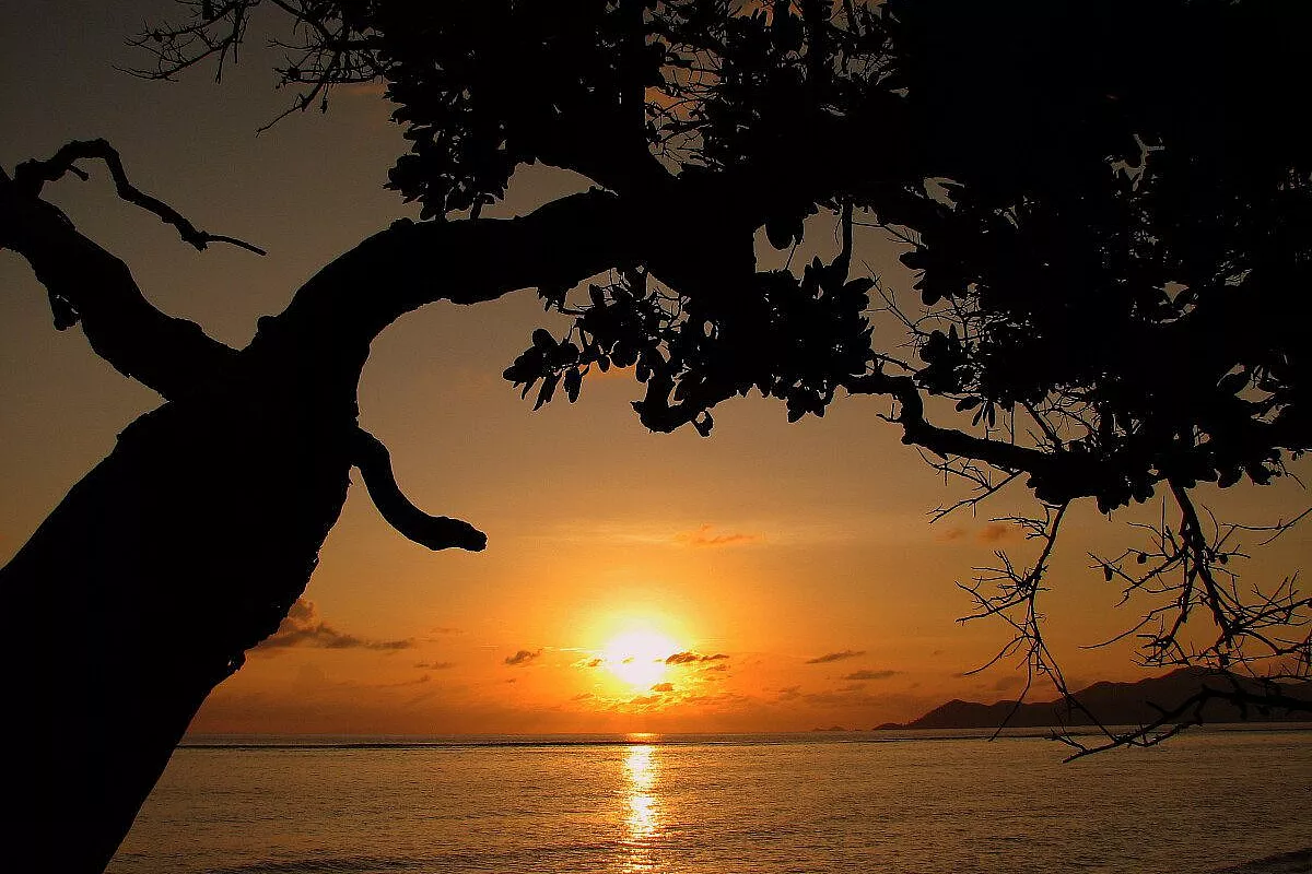 Seyshelles: praslin e la digue