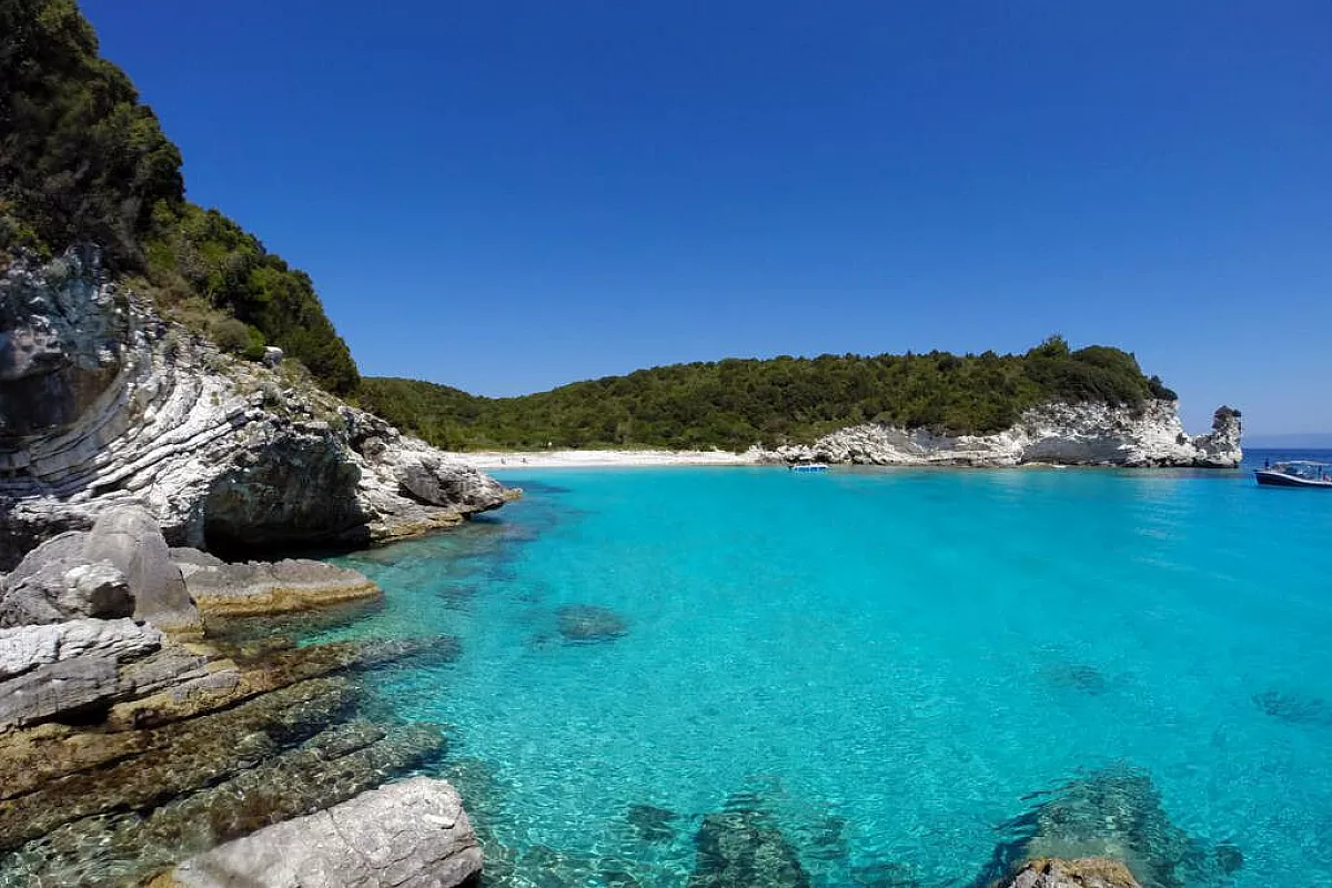 Antipaxos
