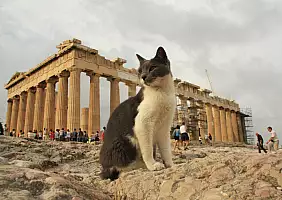 turistipercaso acropoli-z1bvw