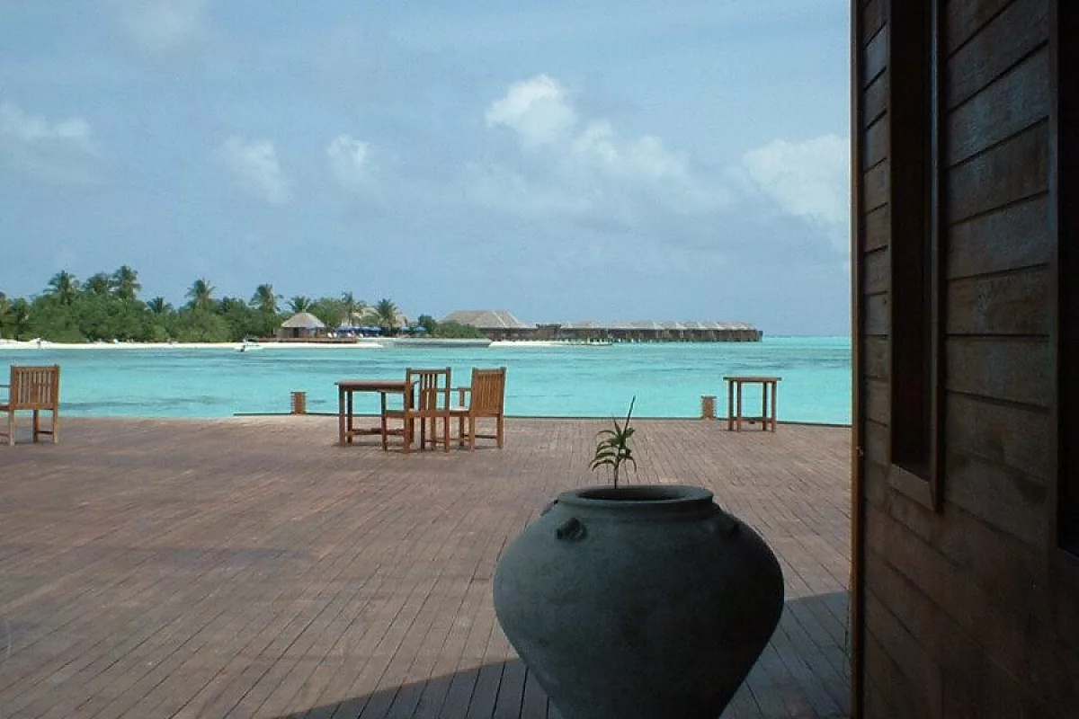 Taj Coral Reef
