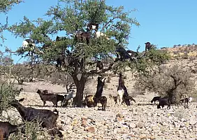 turistipercaso africa-42yza
