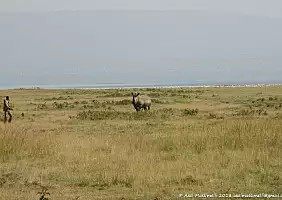 turistipercaso africa-6jke9