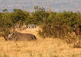 turistipercaso africa-9y6sf