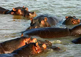 turistipercaso africa-gcx1r