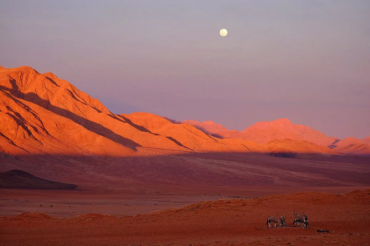 Dune