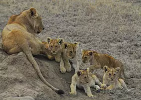 turistipercaso africa-natura-61spj
