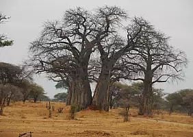 turistipercaso africa-natura-dttes