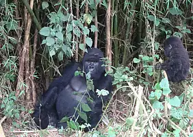 turistipercaso africa-natura-gevha