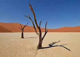 turistipercaso africa-natura-haq5u